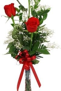 Premium Rose Bud Vase