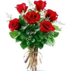 6 Pcs Rose In vase