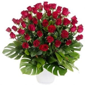5 Dozen Red rose In Basket