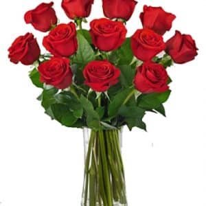 1 Dozen Long Stem Red Roses - VASE INCLUDED