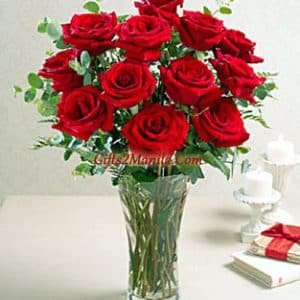 Premium Red Rose