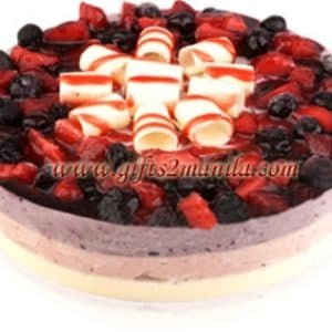 Merry Berries Gelato Cake