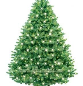 6' Grand Spruce Christmas Tree