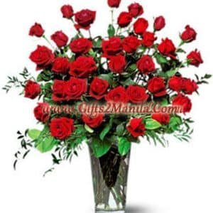 3 Dozen Stem Red roses