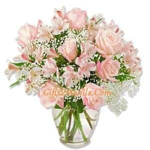 Light Colored Rose