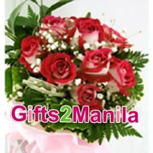 12 Fire and Ice Roses