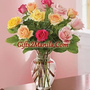 Multicolored Roses