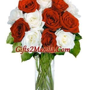 12 Red & White Stem Roses