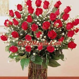 Bright Red Roses