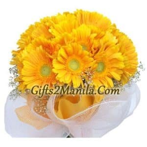 24 Stems of Gerberas