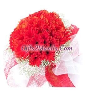 30 Stems of Gerberas