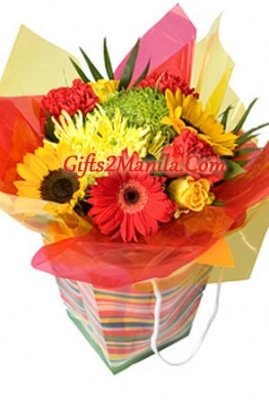 Stylish and Contemporary